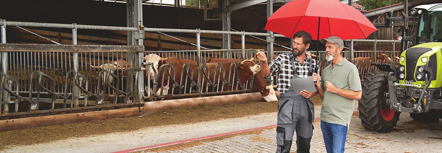 Zwei Männer stehen unter dem roten Schirm im Stall