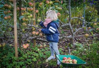 Raus Aus Der Stadt Rein In Den Eigenen Schrebergarten