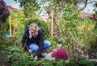 Raus Aus Der Stadt Rein In Den Eigenen Schrebergarten