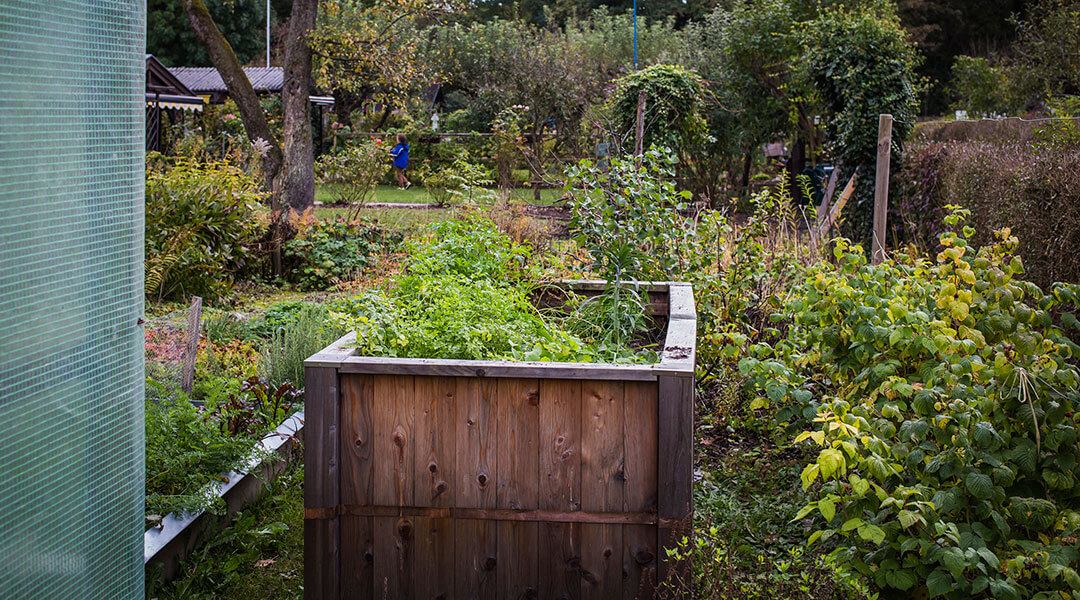 Haus Wohnen | Schrebergarten | Galerie