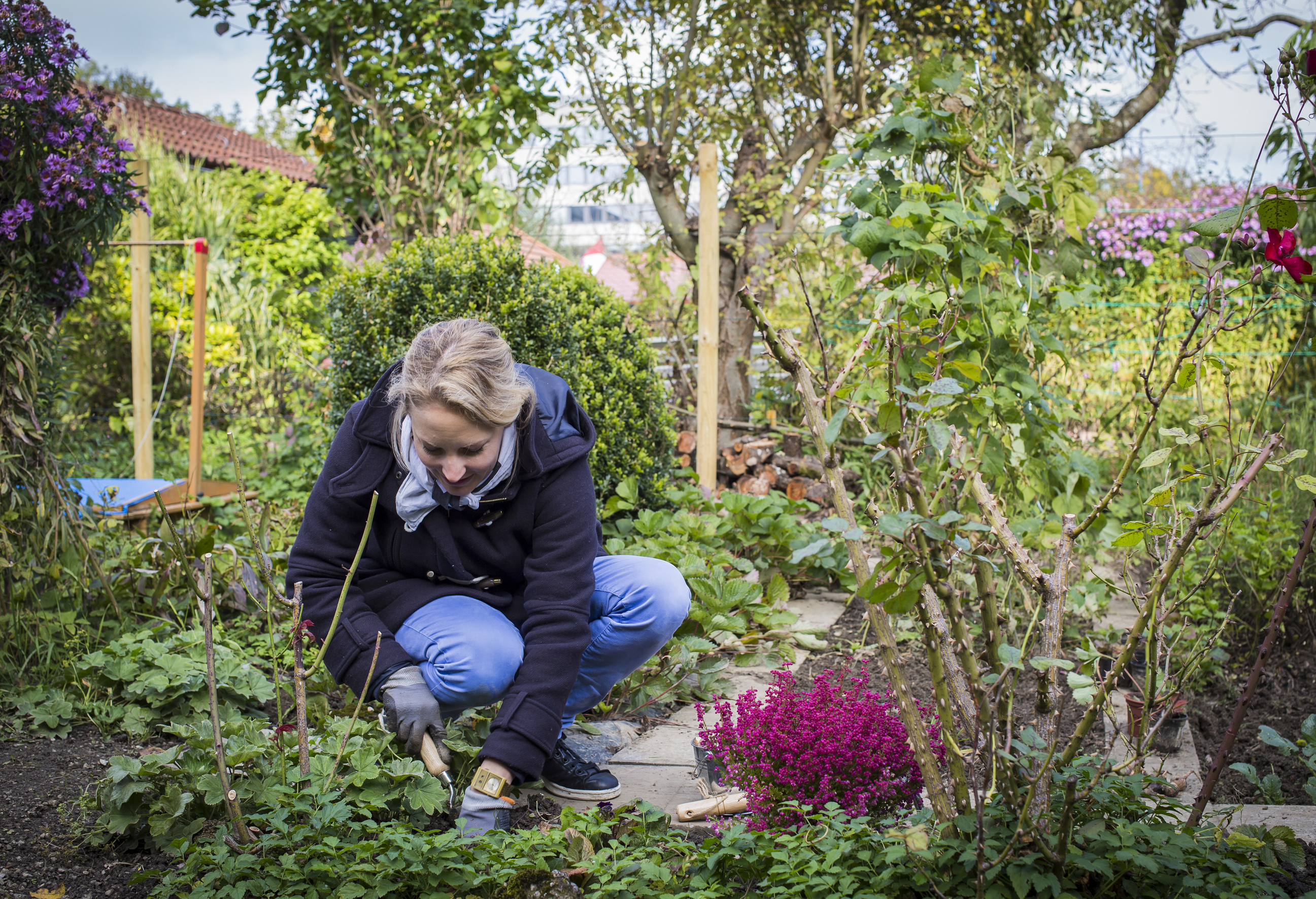 Haus Wohnen | Schrebergarten | Mythos